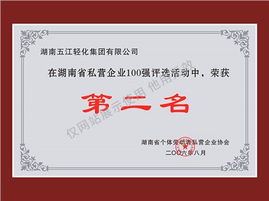 湖南省私营企业100强第二名（2006年）
