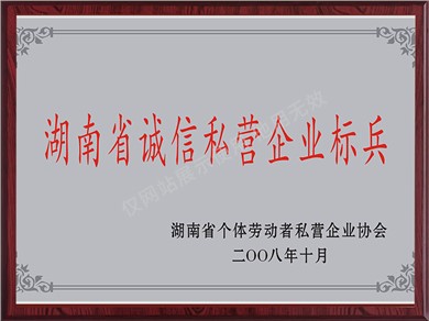 湖南省诚信私营企业标兵（2008年）